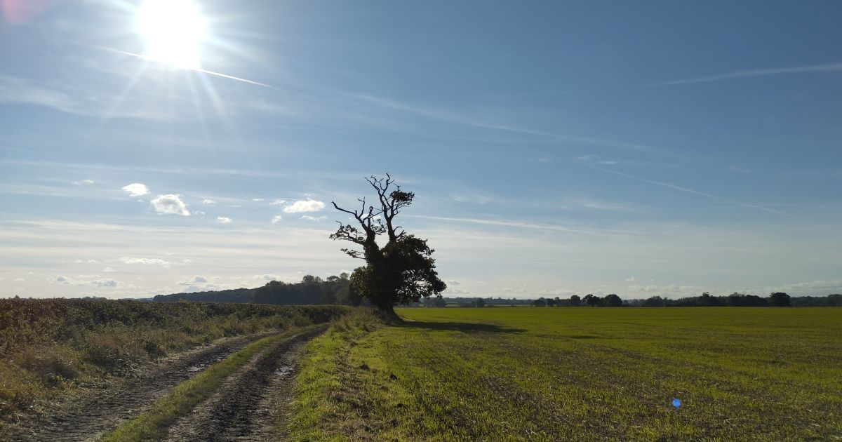 Tadcaster to Healaugh loop Ramblers