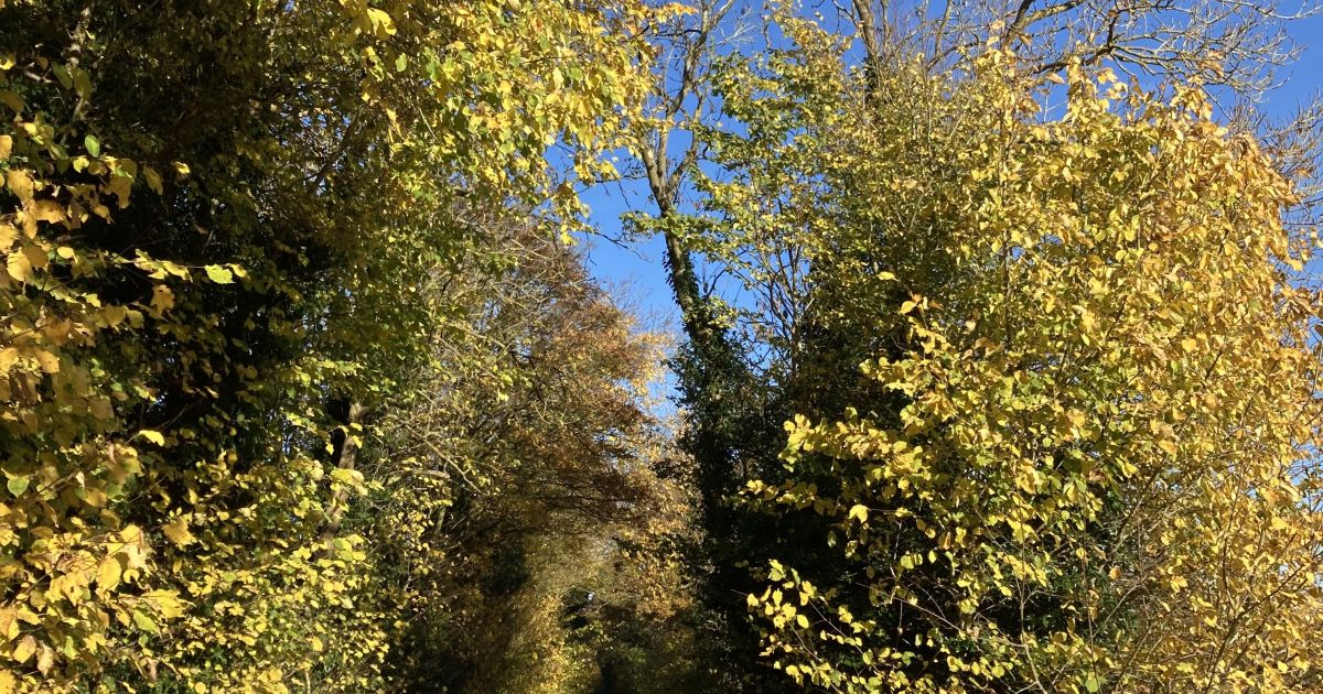 Abbotsley - Ramblers