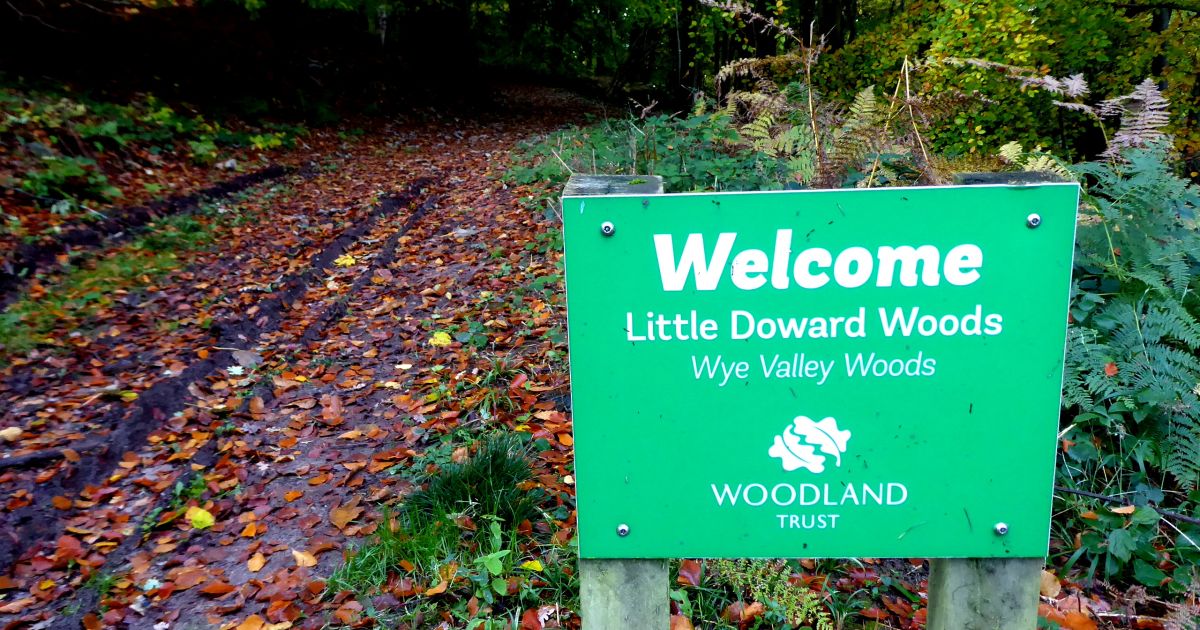 The Two Dowards Ramblers