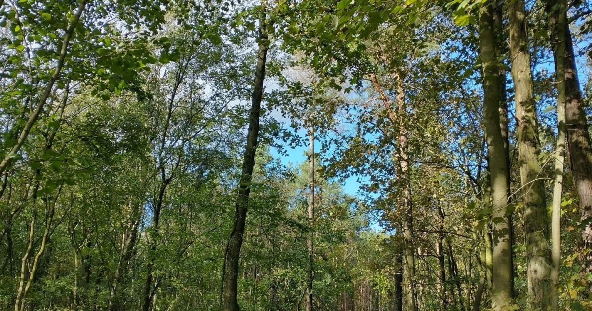 Newton upon Rawcliffe Ramblers