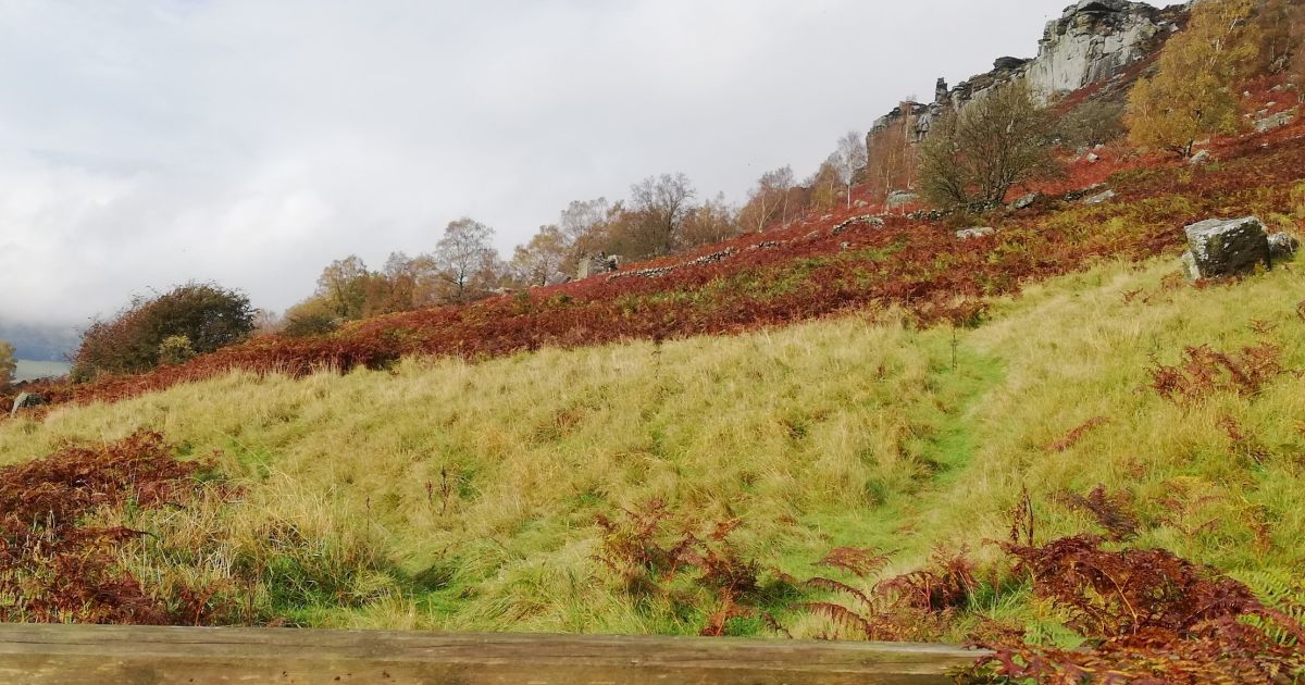 Longshaw Ridge Walks Longshaw and Edges walk - Ramblers