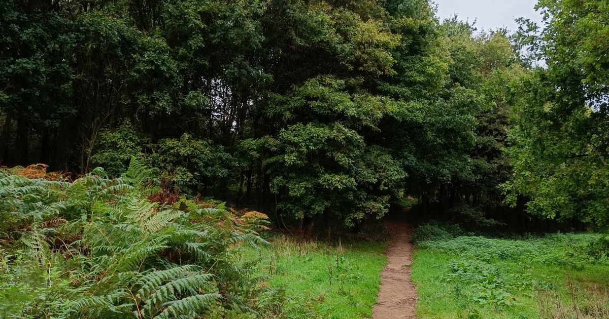 East Clandon and Scotland Farm - Ramblers