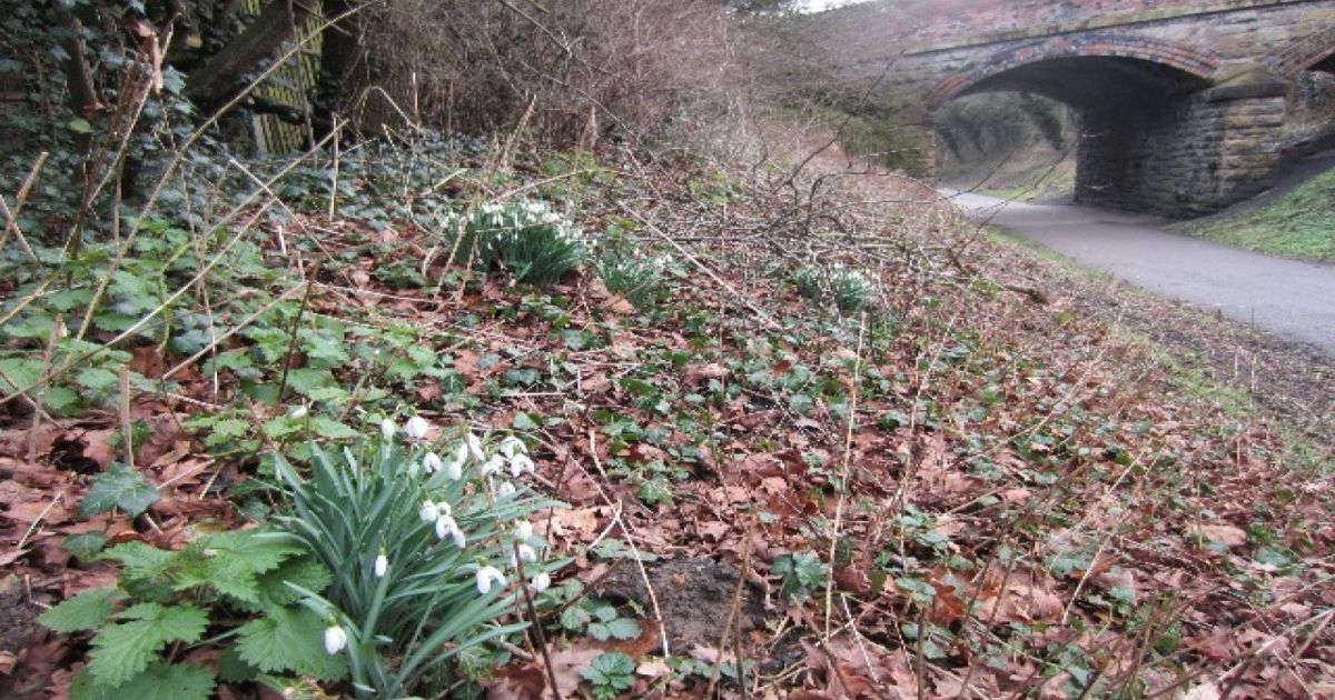 NUTBROOK TRAIL, DERBYSHIRE - Ramblers
