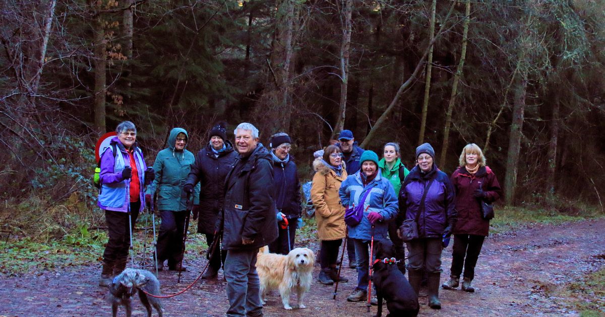 Hamsterley Wellbeing Walk (90 Minutes)