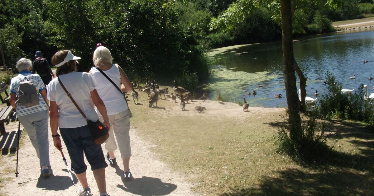 Shipley Park/Nutbrook Trail/Ilkeston - Ramblers