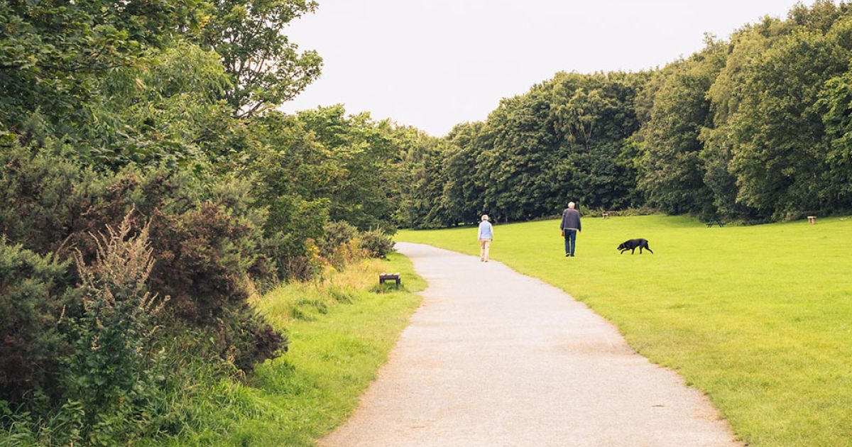 Stroll around Newburn Riverside