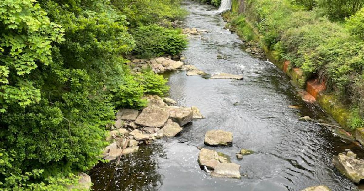 Broadbottom Rocks GM Ringway 7. Marple to Broadbottom - Ramblers