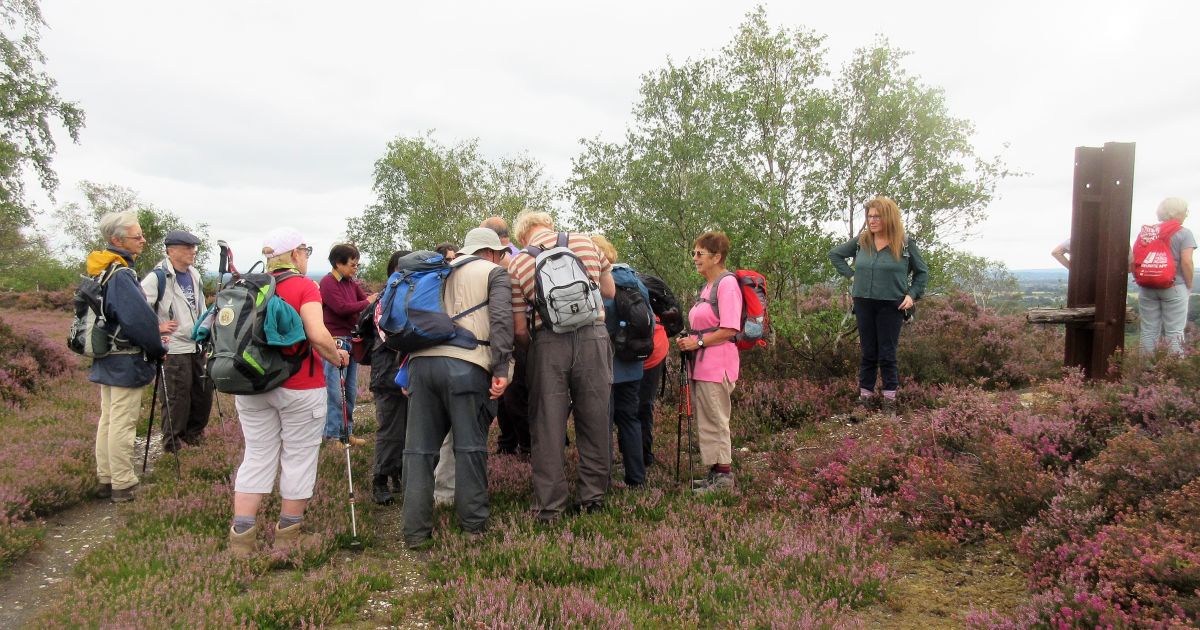 Linear Walk from Ash to Brookwood - Ramblers