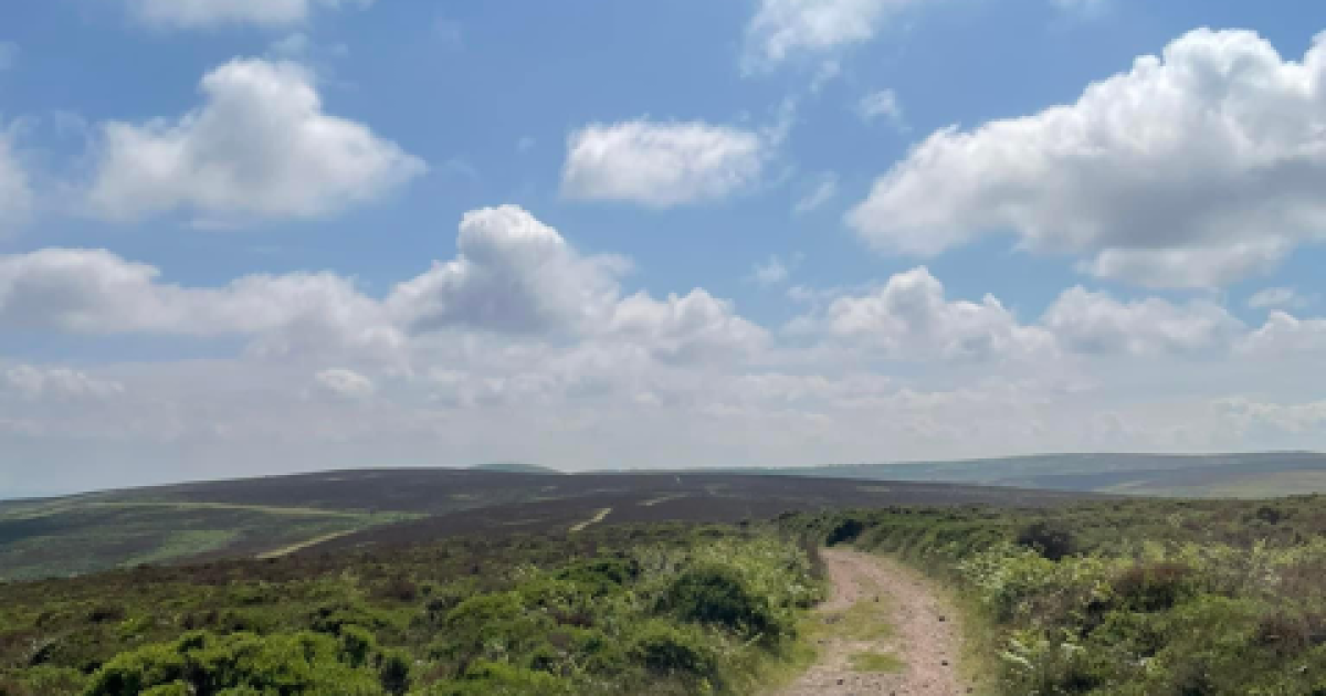 Quantock Matty The Quantock Hills Day 1 - Ramblers