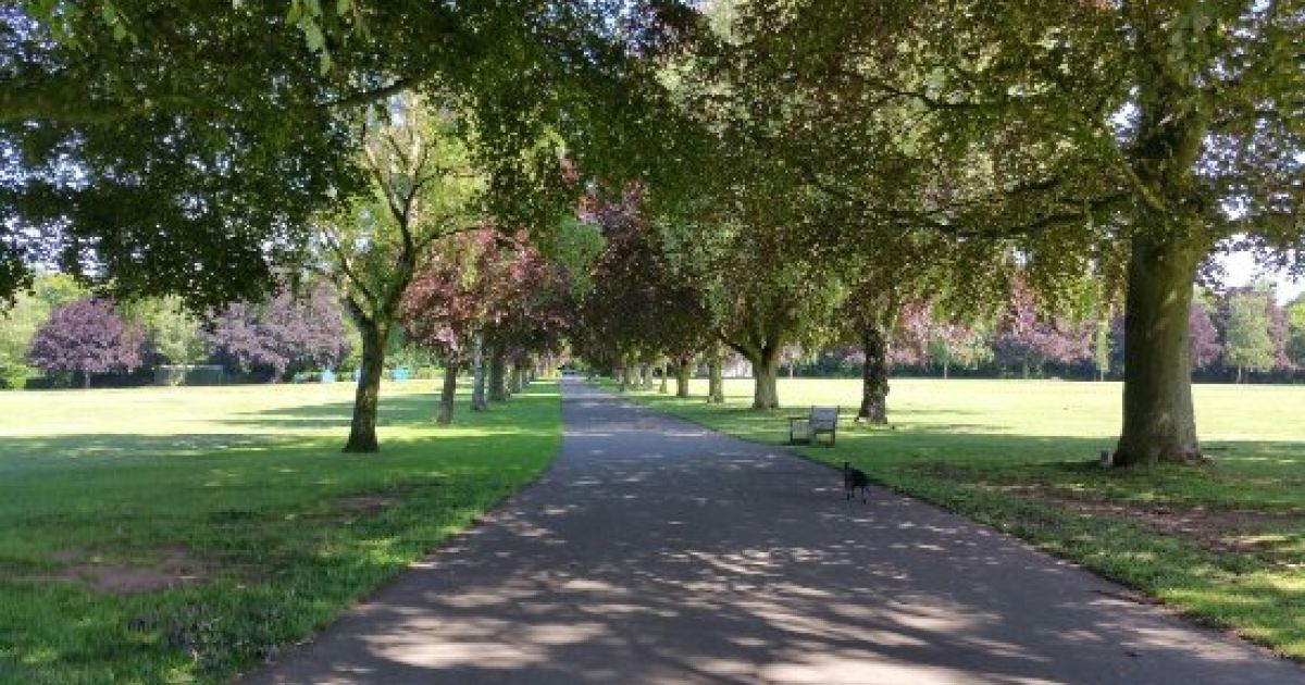 Memorial Park Walk