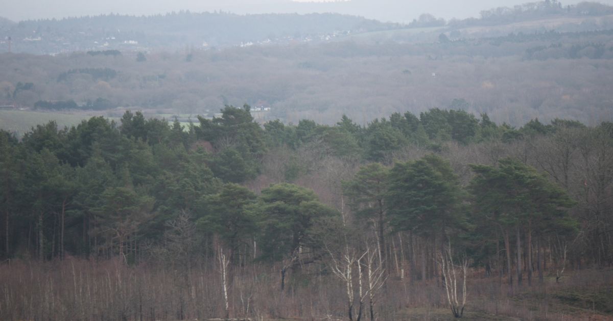 Linear walk from Ash to Brookwood via Ash Ranges - Ramblers