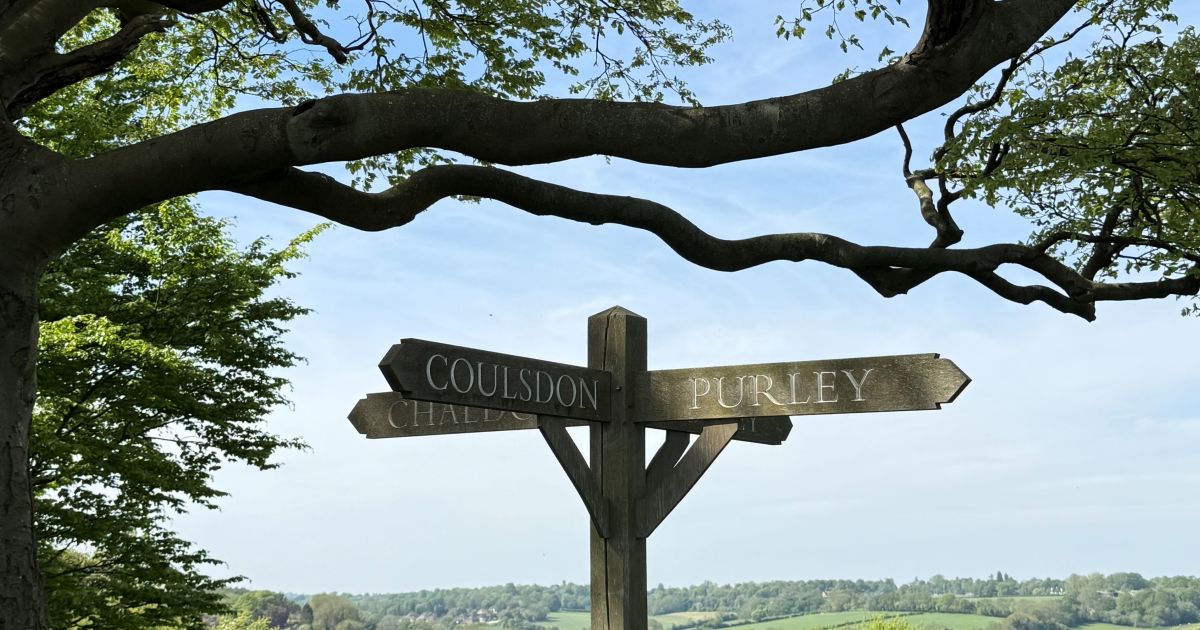 Wellbeing Walk at Farthing Downs
