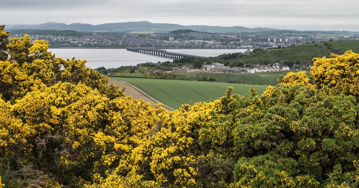 Wormit & Gauldry circuit - Ramblers