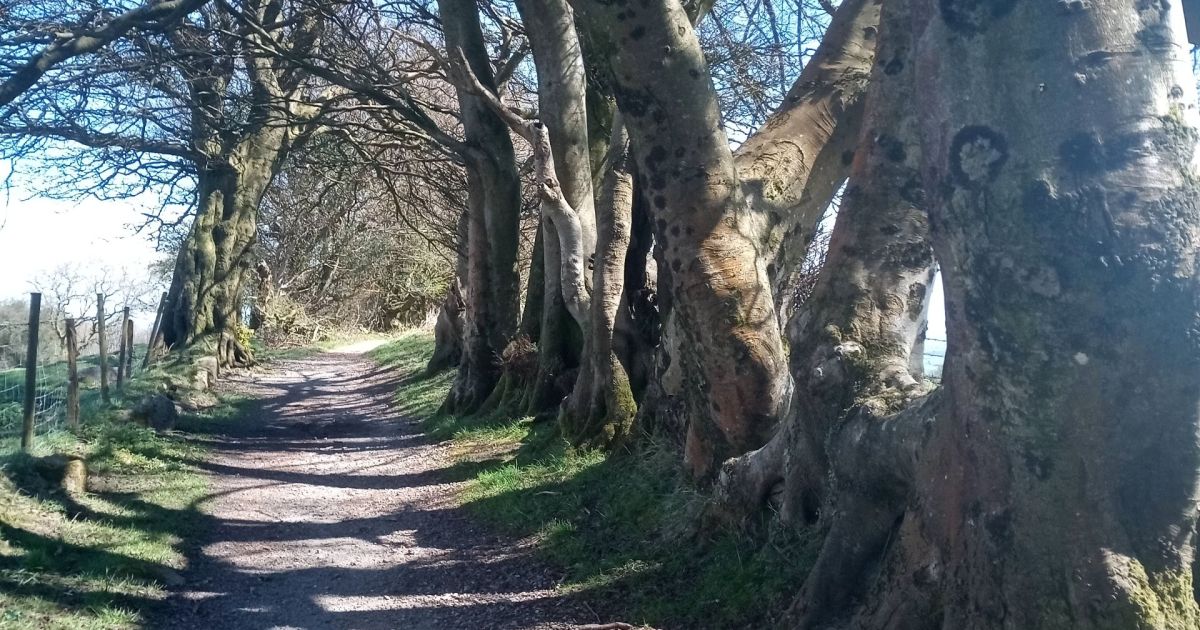 Two Ridges Cambrian Way & Two Ridges - Ramblers