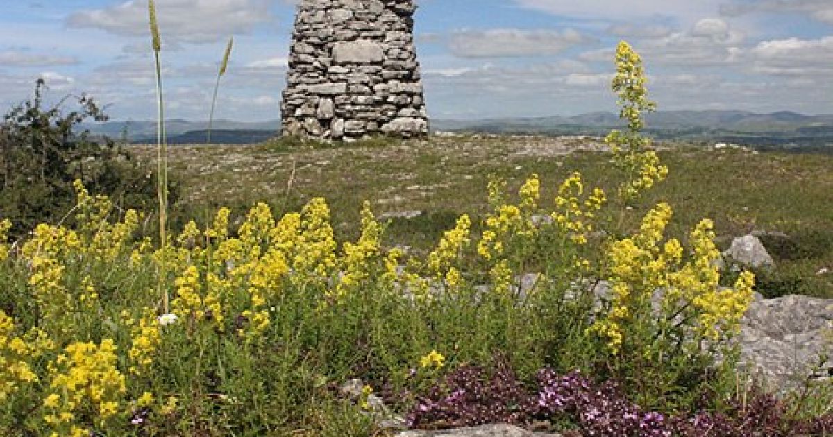 10 miles: Whitbarrow Fell/ Nature Reserve (+ cave) from Gilpin Bridge ...