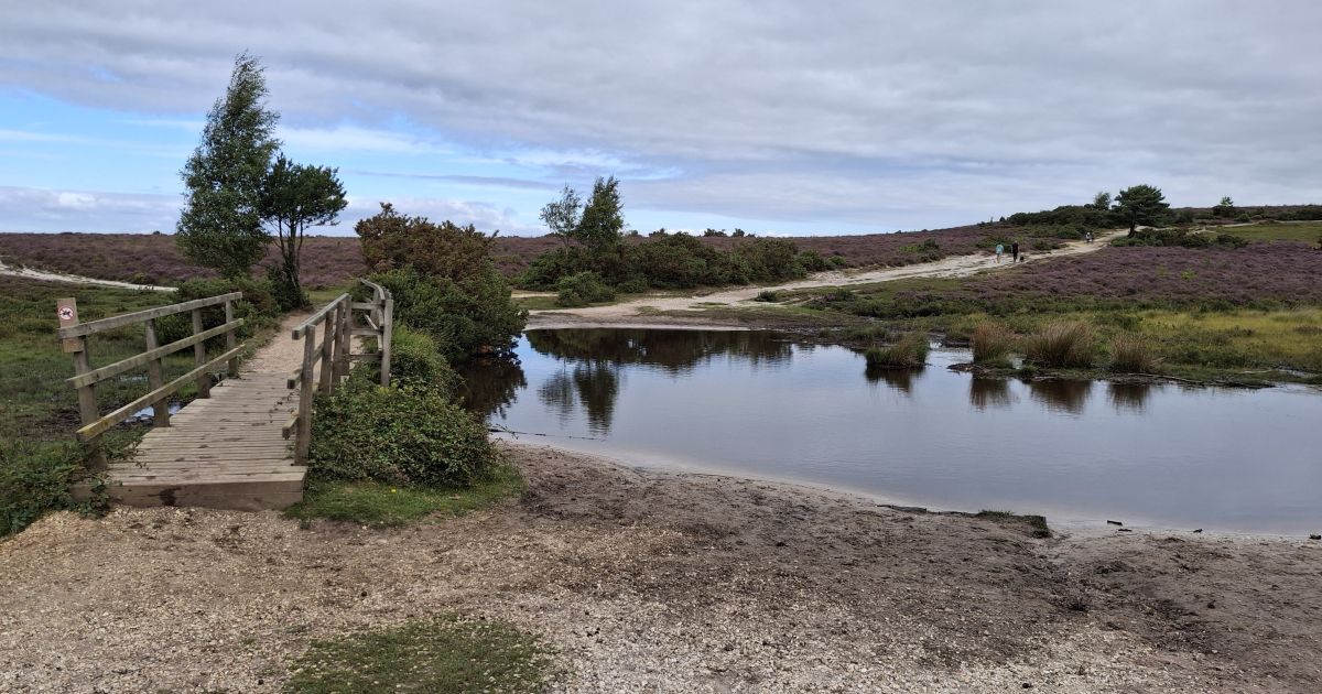 Marchwood and Dibden Inclosures - Ramblers