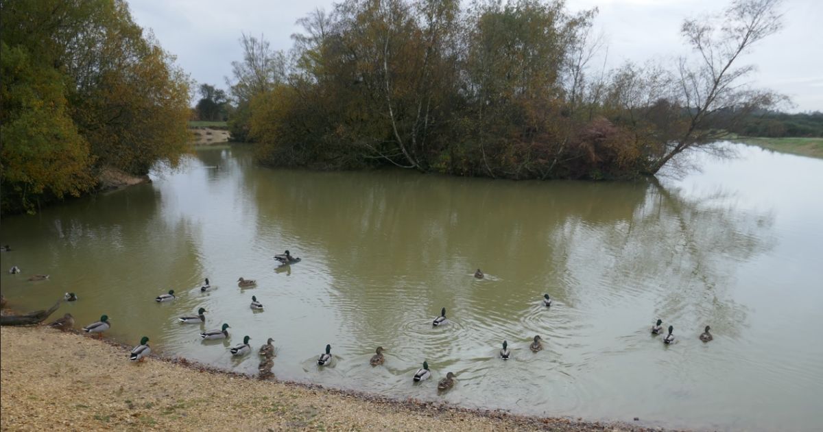 Codman Pool Cadmans Pool 5.3 miles - Ramblers
