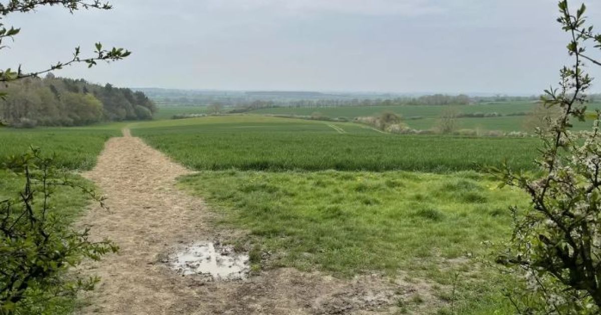 Oakhill Wood & Whaddon & Howe Park - Ramblers