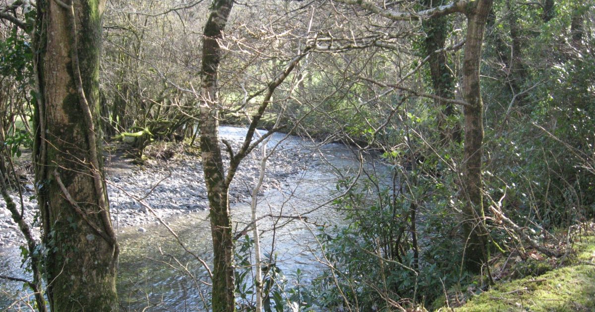 Y Foel, Brithdir Common and the Torrent Walk - Ramblers