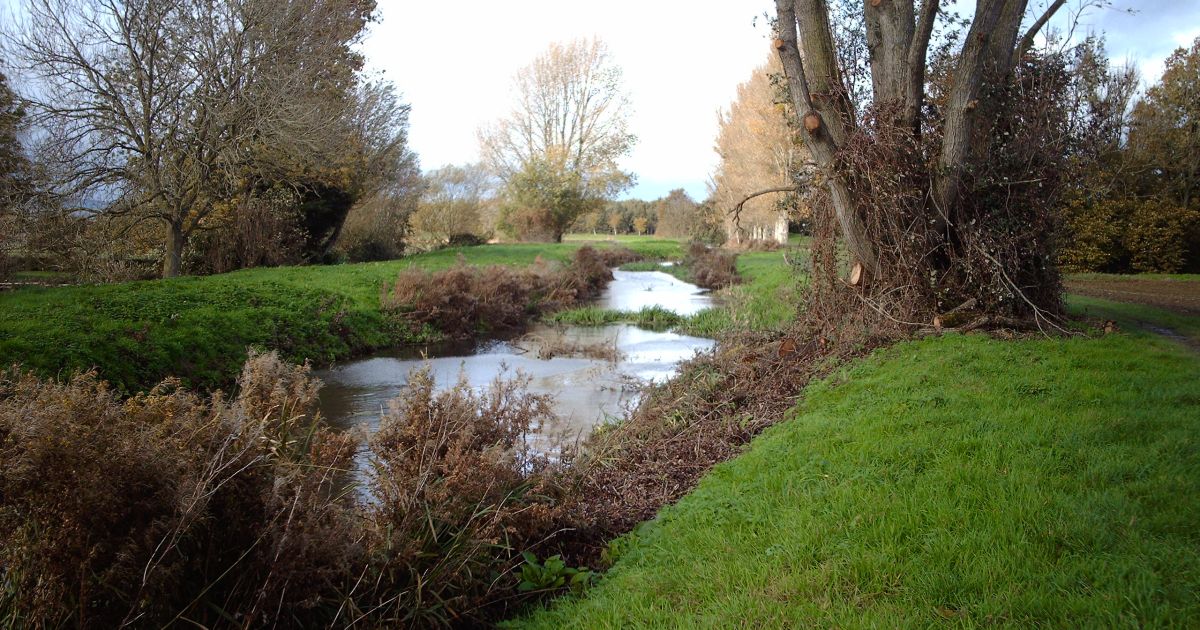 Linear Walk Cam via Frampton on Severn to Whitminster - Ramblers