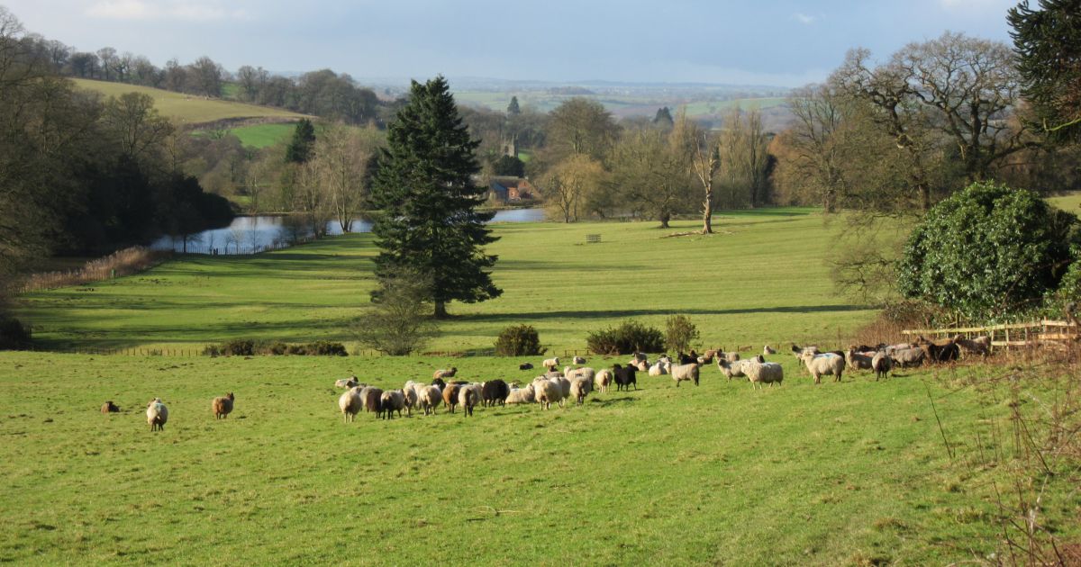 Mapleton, the Dove Valley and Ashbourne - Ramblers