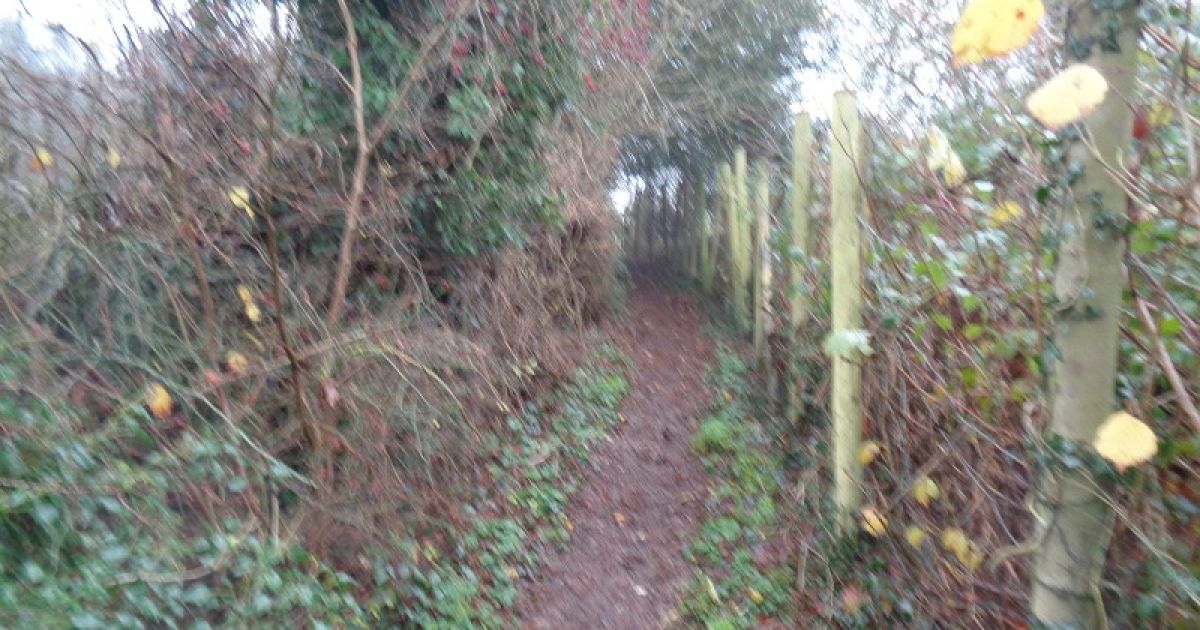 Belper Coppice CP - Ramblers