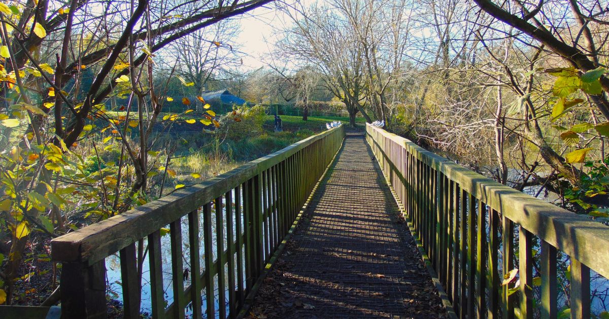 WalkInThePark: Capstone Country Park, from Capstone Country Park