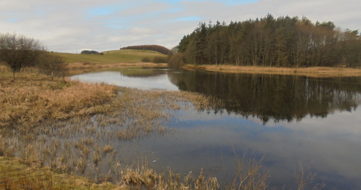 Clatto Hill & Reservoir - Ramblers