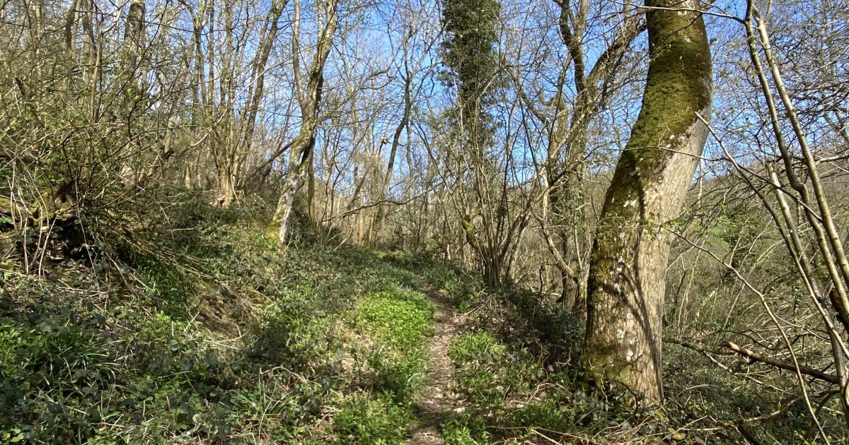 Hurdley Hall - Curt's Garden and Cake walk - Ramblers