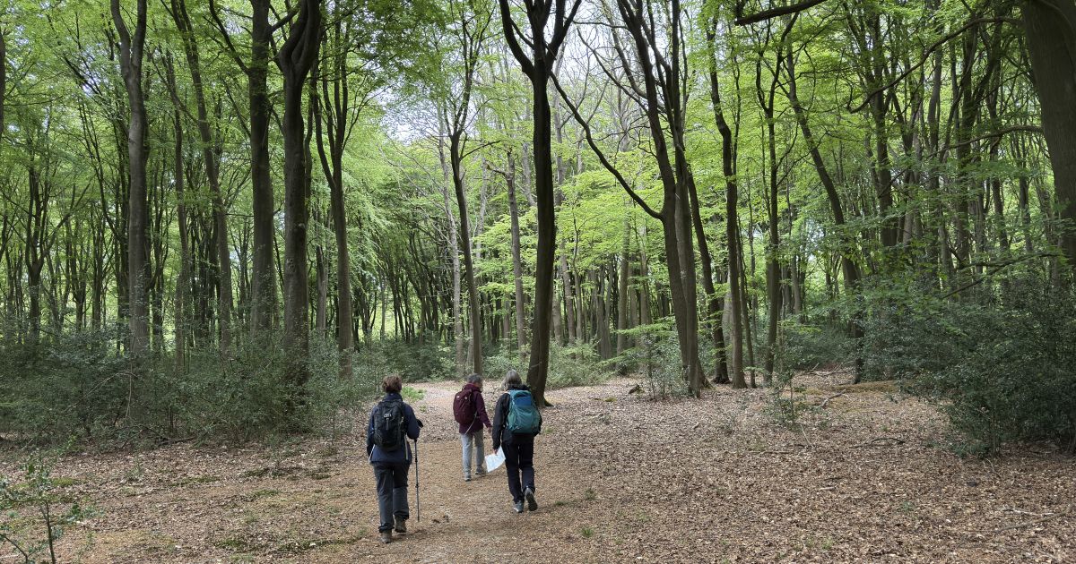 Tring to Buckland Common - Ramblers