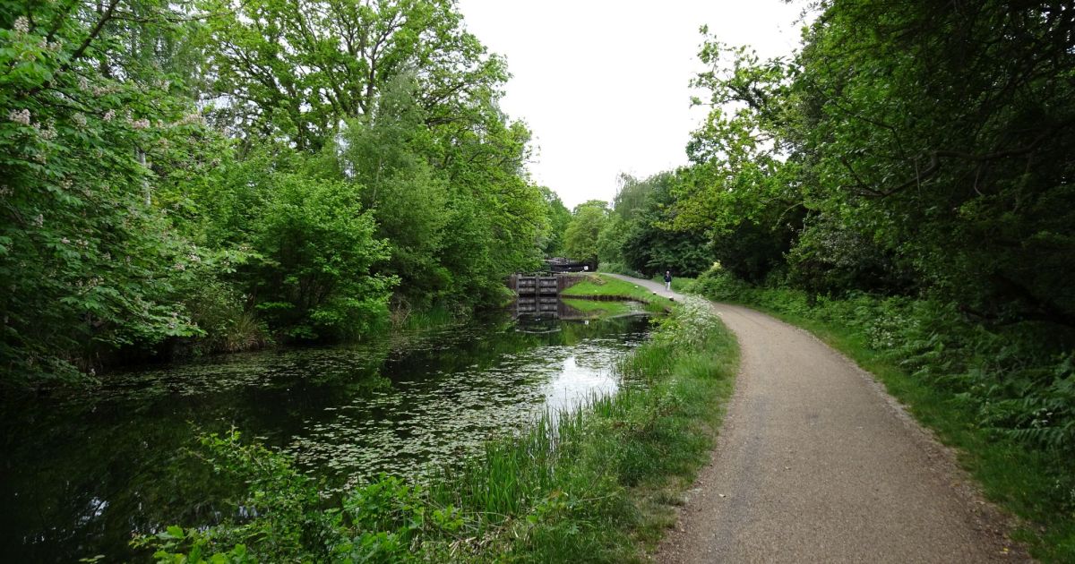 Horsell Common & Basingstoke Canal, Woking - Ramblers
