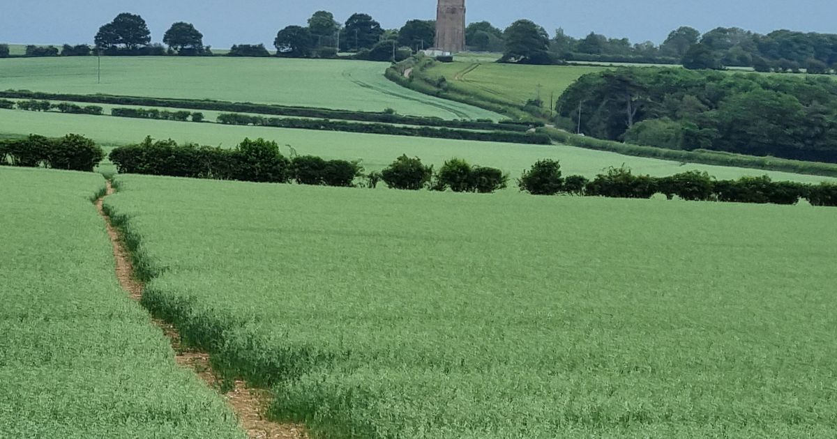 Linton, Hildersham and the Roman Road - Ramblers