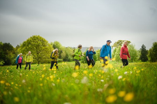 A group of people walking across and open field of wildflowers