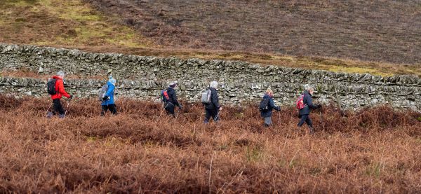 A group of six Ramblers walking along a narrow track across moorland