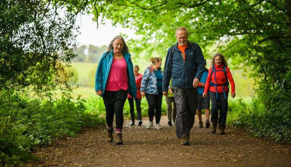 A group of people walking along a path among trees