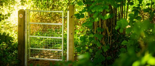 A closed gate with a waymarker on it, among green foliage