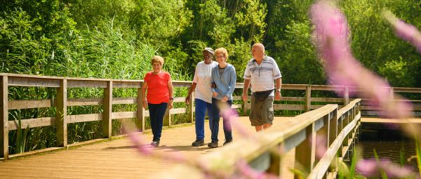 walkers on a treelined bridge