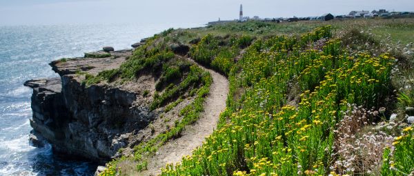 A narrow path winding above a cliff