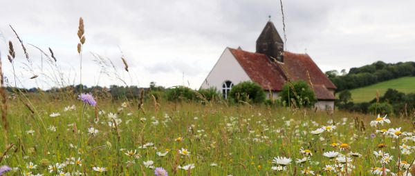 A wildflower meadow with a church in the distance