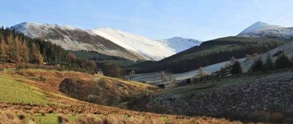 Valley next to the Whinlatter forest park in the English Lake district 