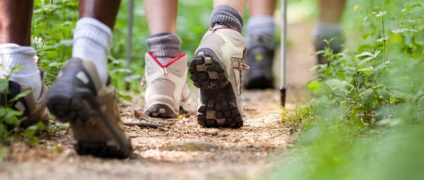 group of man and women during hiking excursion in woods, walking in a queue along a path. Low section view