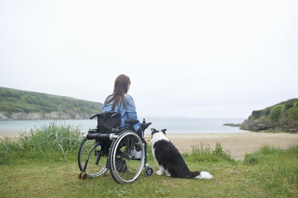 wheelchair user with dog