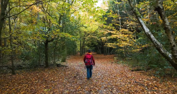 Adventure documentary filmmaker Frit Tam walks through trees near Box Hill