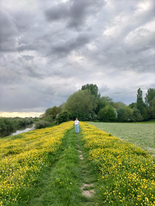 Picture of Newton-on-Ouse and Beninborough Hall evening walk