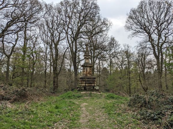 Picture of Welburn evening walk        
