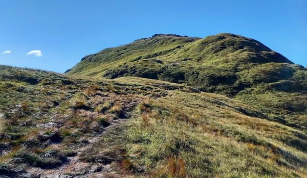 The summit of Ben Donich