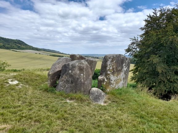 Coldrum Stones