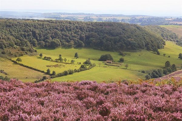 Picture of Hole of Horcum