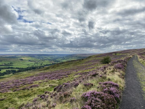 Picture of Rosedale Railway and Thorgill