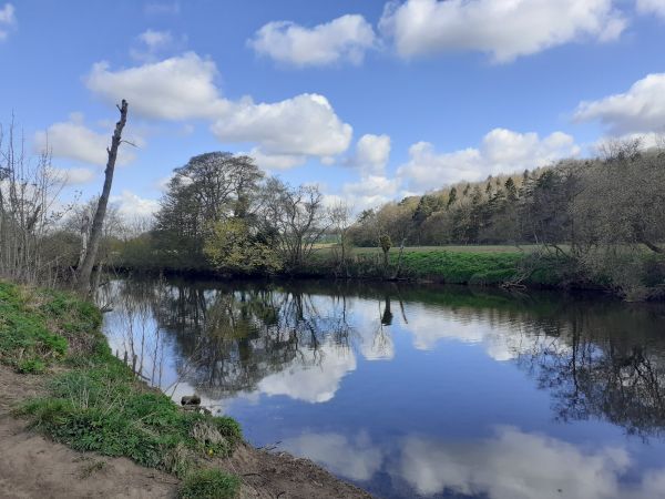 Picture of Walk @ Masham 